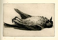 Oiseau mort, eau-forte de Charles Pinet.jpg