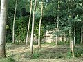 Château du Bouchet-aux-Corneilles (ruines).