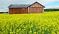 Old field barn in southern Finland