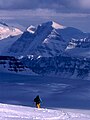 Oppy Mtn. from the Columbia Icefield.jpg