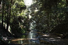 Ourimbah Creek