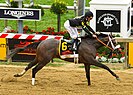 Oxbow winning the Preakness Stakes, 2013