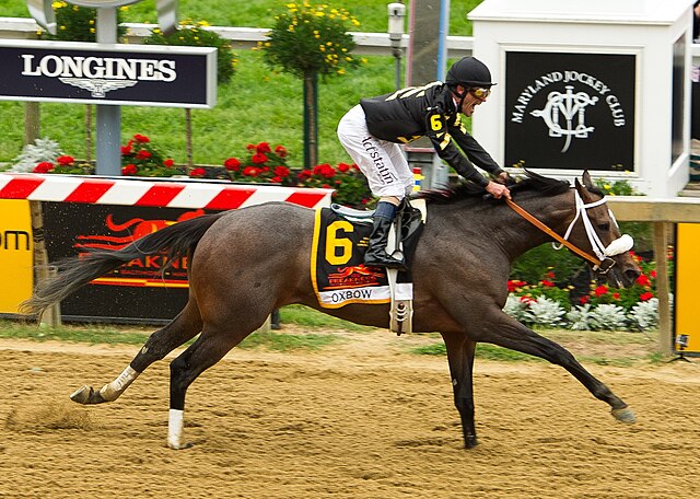Oxbow winning the 2013 Preakness Stakes