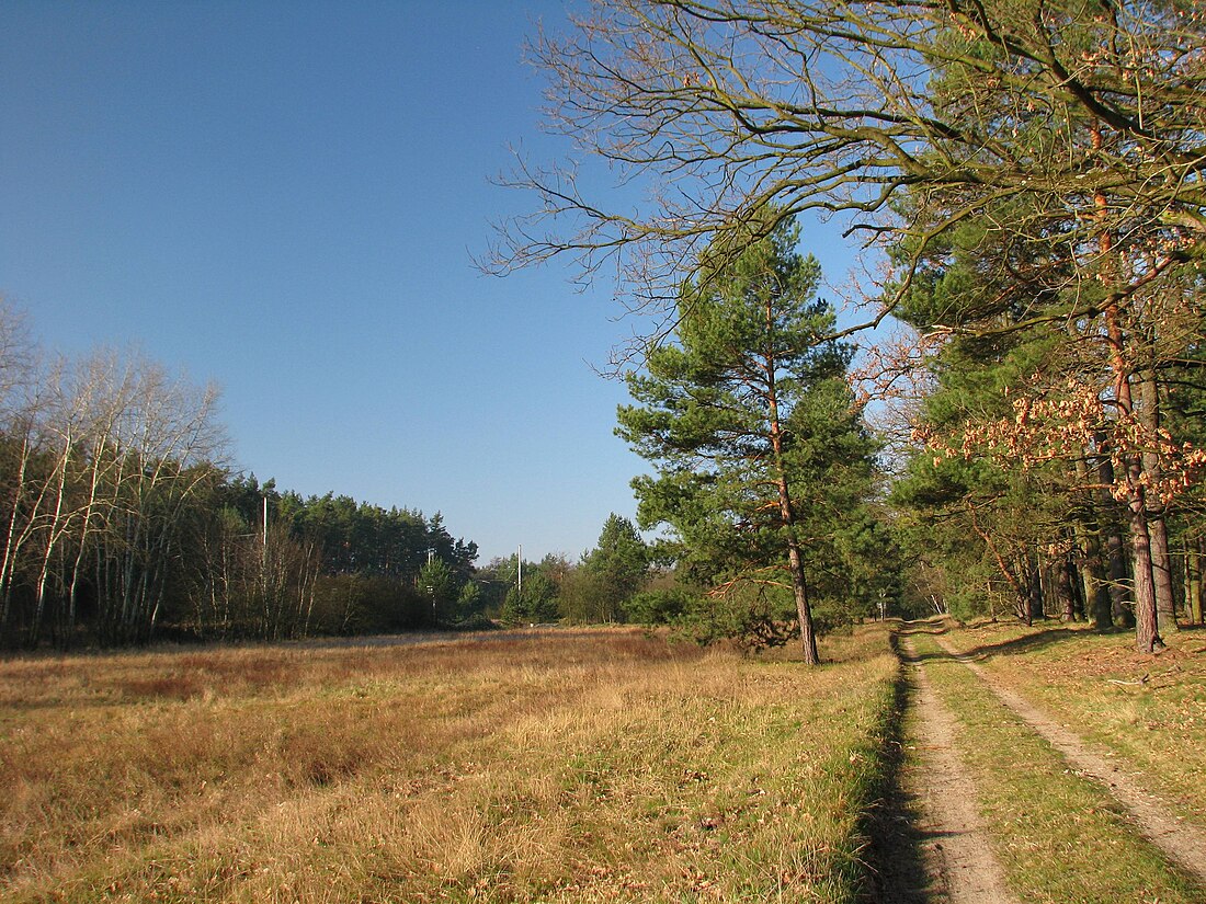 Jihomoravská pánev