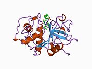 PDB 1au2 EBI.jpg