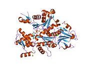 1p8z: Complex Between Rabbit Muscle alpha-Actin: Human Gelsolin Residues Val26-Glu156