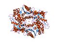 Thumbnail for Carboxyl transferase domain