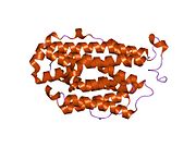 PDB 1w68 EBI.jpg