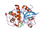 PDB 2bdl EBI.jpg