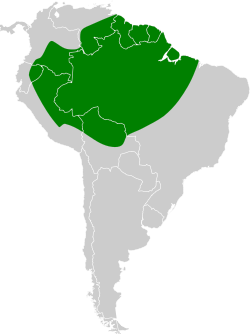 Distribución geográfica del anambé gorgirrosa.