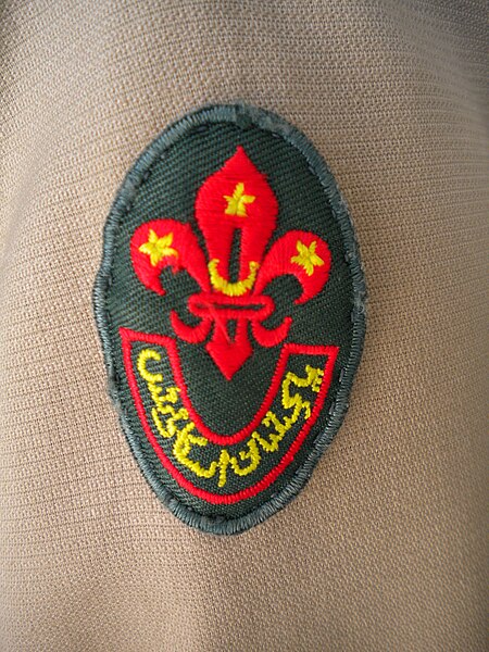 File:Pakistan Boy Scouts Association emblem on uniform.jpg