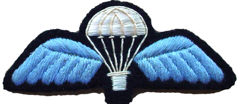 File:Parachutist wing.png