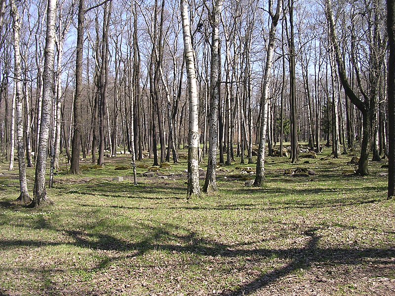 File:Park Koplis - panoramio.jpg