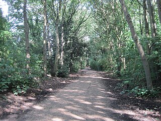 <span class="mw-page-title-main">Parkland Walk</span> 2.5-mile linear green walkway in London