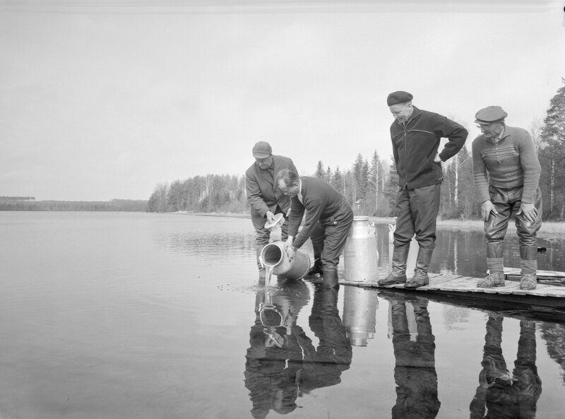 File:Planting of lavaret 1960 (JOKAMT2MTK64-1).tif