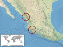 Plestiodon colimensis distribution.png