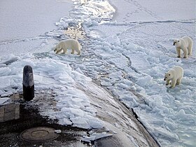 Kuzey Kutbu: Dünya'nın dönme ekseninin yüzeyiyle kesiştiği kuzey noktası