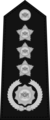 Police General Insignia (casual).png