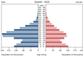 Українська: Віково-статева піраміда населення Кувейту за 2015 рік. Вона дає наочне уявлення про вікову і статеву структура населення країни, може слугувати джерелом інформації про політичну і соціальну стабільність, економічний розвиток. Блакитними кольорами ліворуч, у вигляді горизонтальних смуг показані вікові групи (по 5 років кожна) чоловічої статі, праворуч рожевими — жіночої. Наймолодші вікові групи — внизу, найстаріші — вгорі. Форма піраміди поступово еволюціонує з плином часу під впливом чинників народжуваності, смертності і світової міграції.