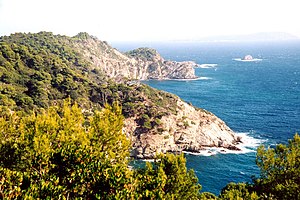 Costa de Porquerolles