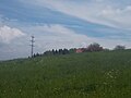 Tannenbaummast einer Mittelspannungsleitung bei Dresden mit stehenden Isolatoren