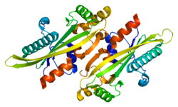 Protein ASMTL PDB 2p5x.png
