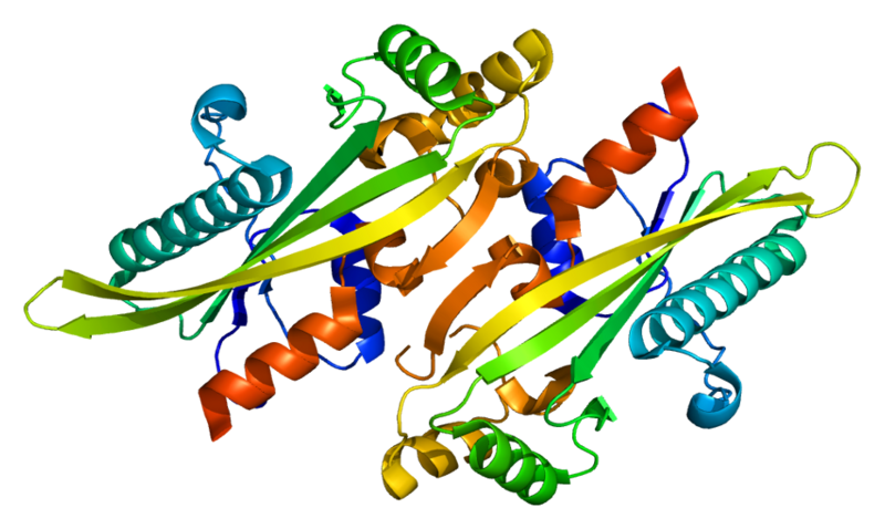 File:Protein ASMTL PDB 2p5x.png