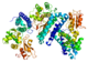 CBL (遺伝子)