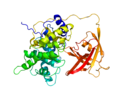 Intrinsic-factor