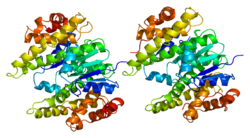 Протеин GSTA3 PDB 1gsd.png