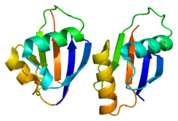 Ақуыз PARD6A PDB 1wmh.png