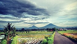 Scenery of Purworejo with the view of mountain Sumbing & Sindoro at the distance