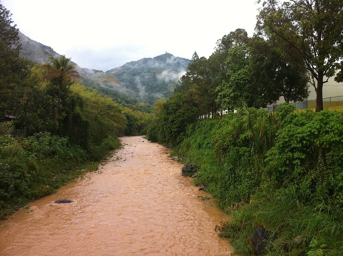 Río Grande de Jayuya