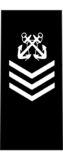 RCSCC PO2.png