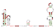 RT-10 Secondary structure taken from the Rfam database. Family RF03022