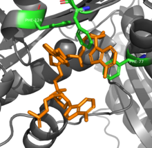 RNAse T phenylalinine residues interacting with a AAA trinucleotide. PDB 3V9X. RNAse T pi interactions.png