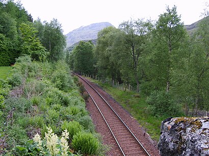 Railway Line - geograph.org.uk - 835914.jpg