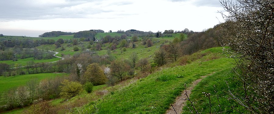 Randecker Maar - panoramio.jpg