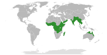 Remusatia Distribution.svg