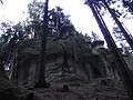 Reserve - Boulders of dwarfs - panoramio (3).jpg
