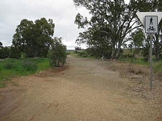 <span class="mw-page-title-main">Riesling Trail</span> Walking and cycling track in South Australia