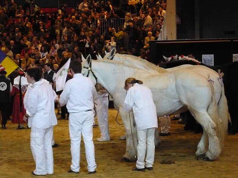 File:Ring-boulonnais.jpg