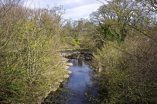 River Greta from the Dairy Bridge - geograph.org.uk - 4016720