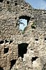 Ruins of Nunegg Castle Ruine-Nunegg Westwand.jpg