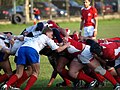 Thumbnail for Rugby union in Russia