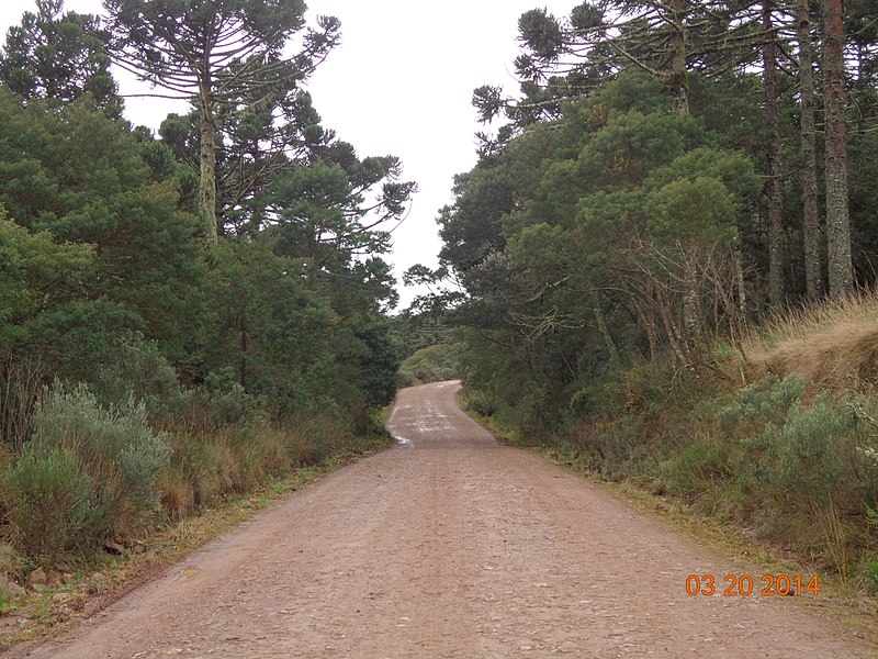 File:São José dos Ausentes - RS, Brazil - panoramio (2).jpg