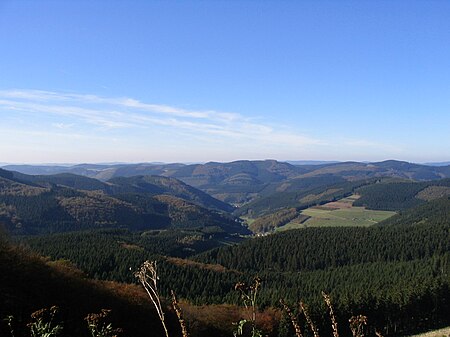 Saalhauser Berge