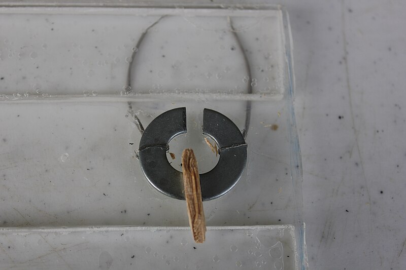 File:Sacer fitting into original working washer system model.JPG