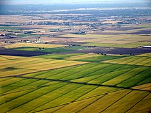 Rice paddy fields just north of the city of Sacramento, California. Sacramento rice fields.jpg