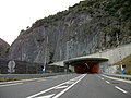 Vignette pour Tunnel de Saint-Béat